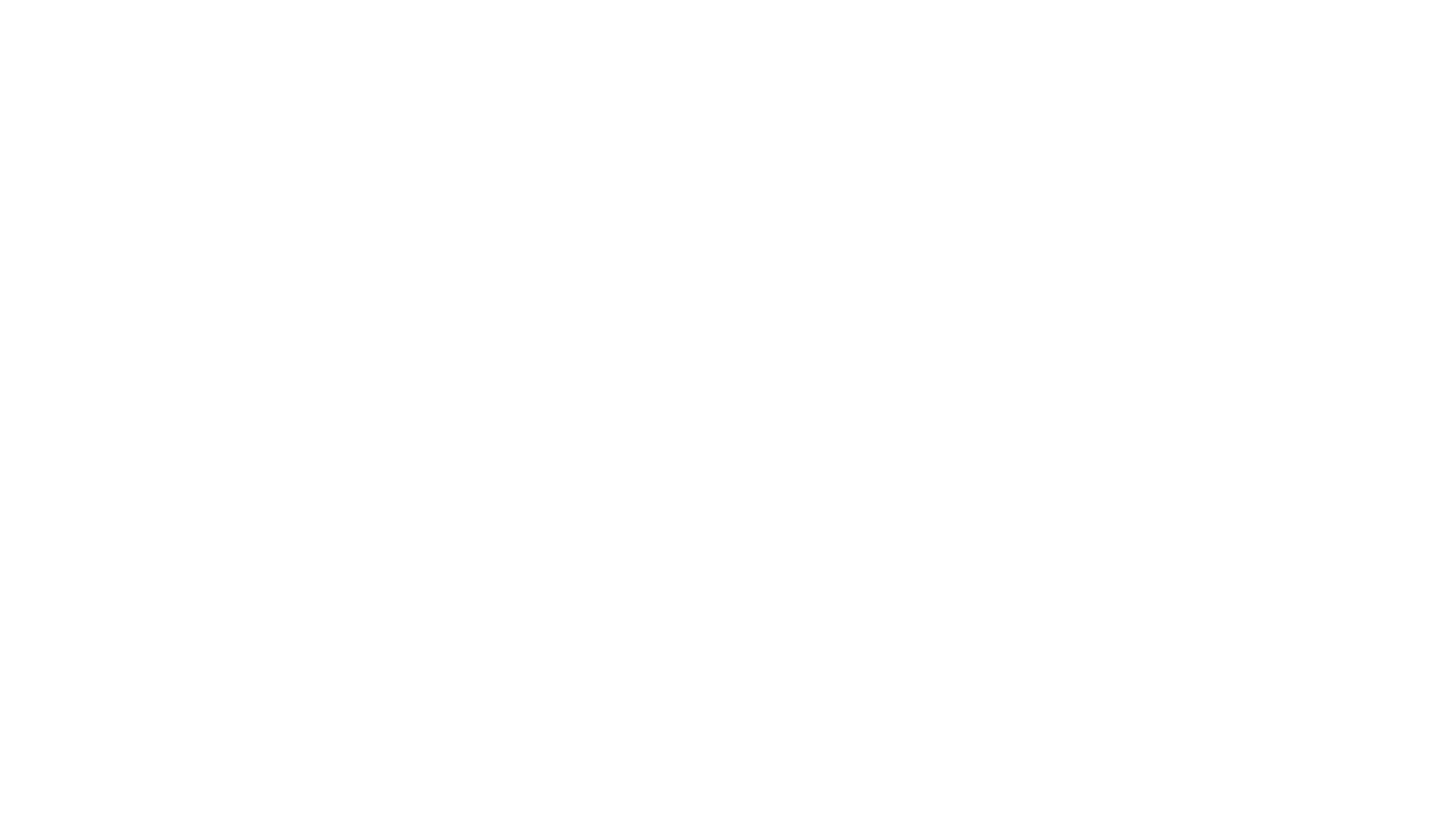 Watch Dog